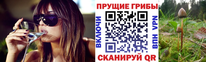 Галлюциногенные грибы Magic Shrooms  где продают наркотики  Челябинск 